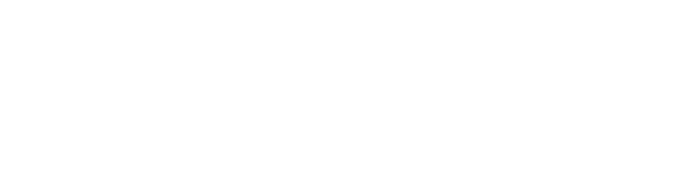 TUMDEE